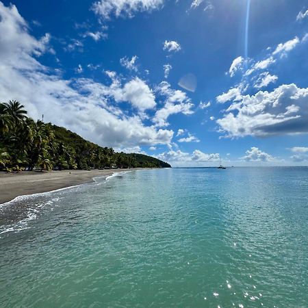 Le Gaspardo: Beachside Retreat with Garden and Comfort Le Carbet Exterior photo