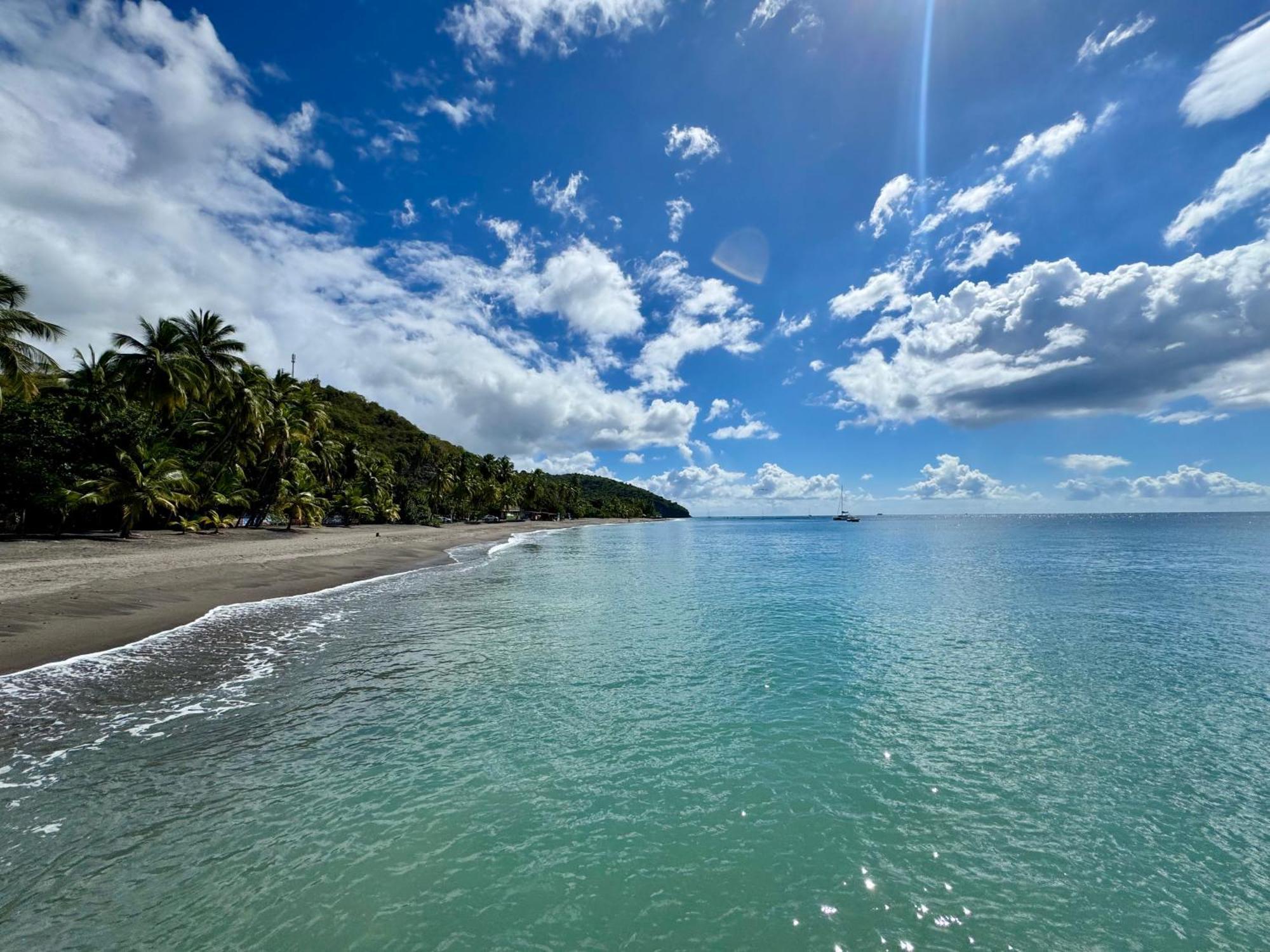 Le Gaspardo: Beachside Retreat with Garden and Comfort Le Carbet Exterior photo